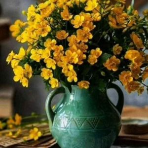 دانلود آهنگ از این گریه چه میدونی نه دردمی نه درمونی